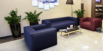 Синий диван в интерьере-24, Диван Фри